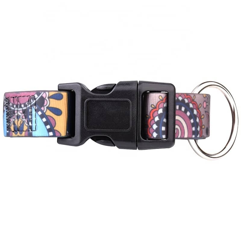 Dog Leash